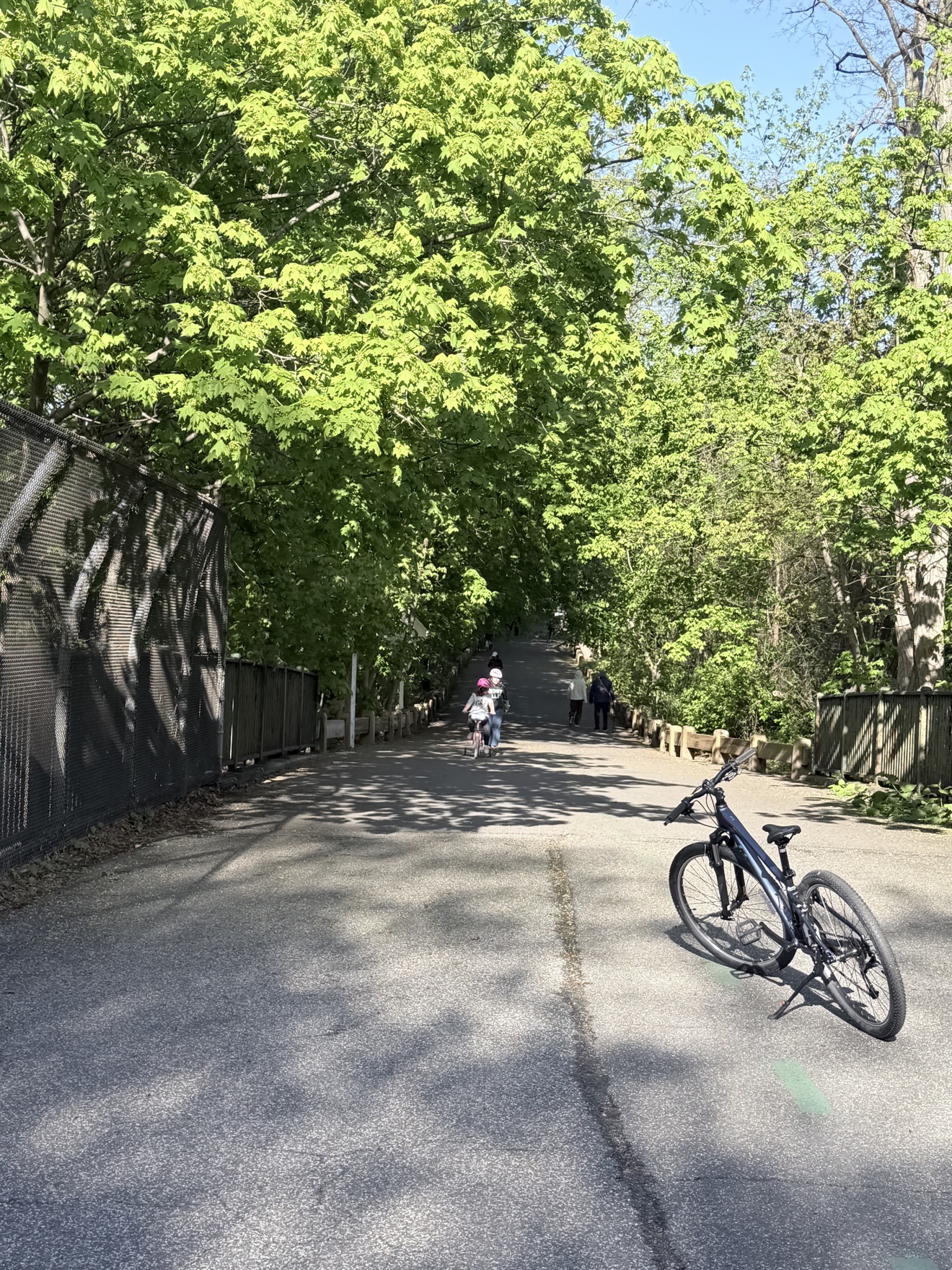 Alley Pond Park 绿道骑行