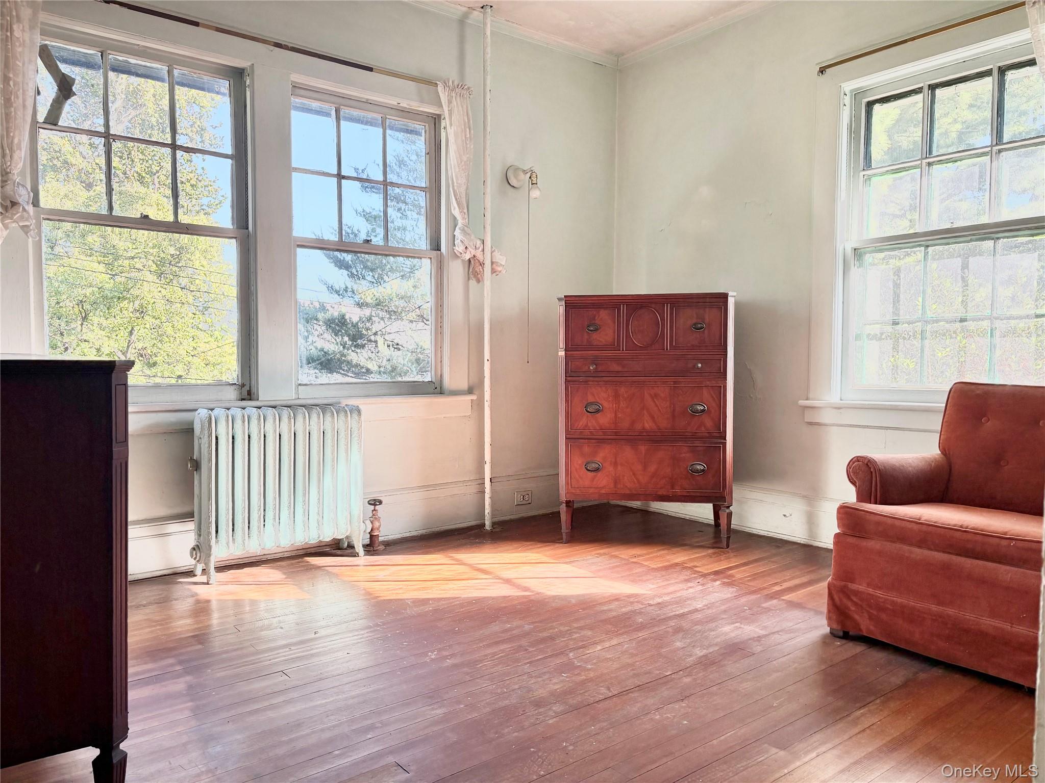 Little Neck (Douglas Manor) $1,280,000 独栋住宅（Craftsman） 照片 8
