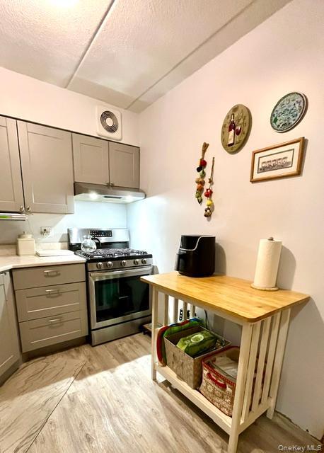 Little Neck 公寓（townhouse 式） 照片 4
